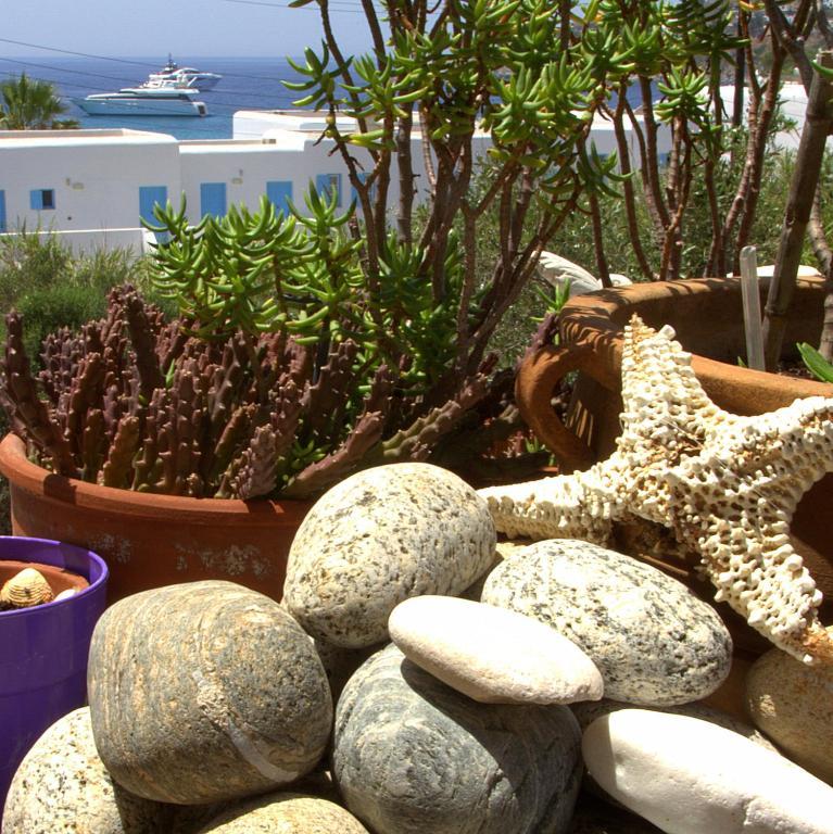 Studios Flora Manos Platys Gialos  Exterior foto